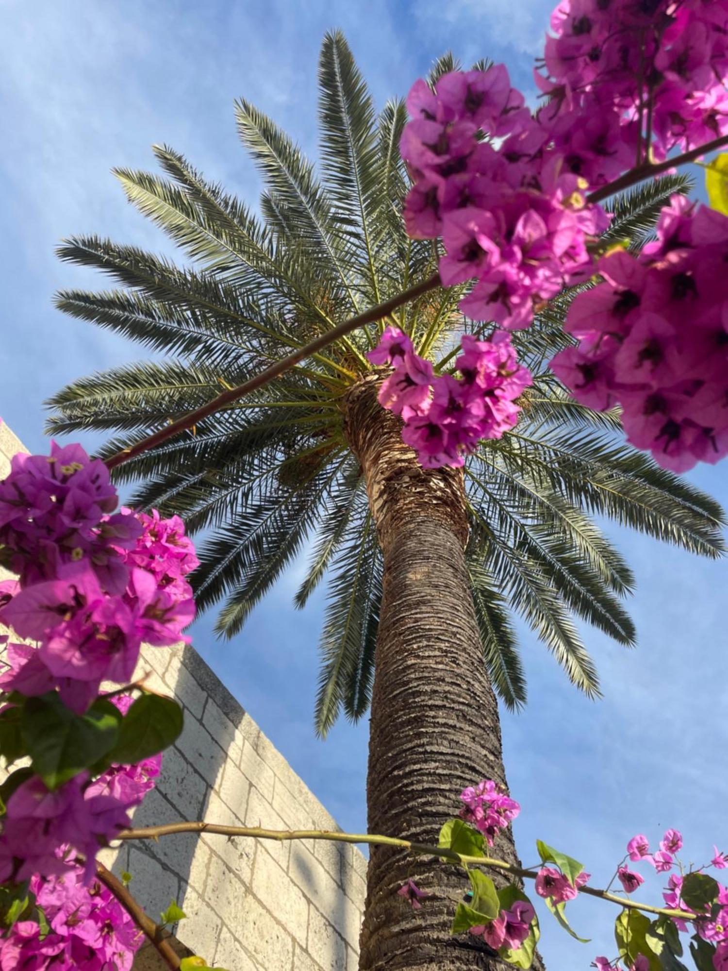 شقة Old Town Watch&C كورتْشولا المظهر الخارجي الصورة